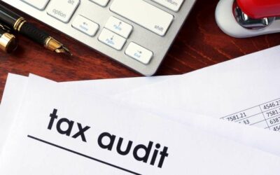 Managing Your Tax Audit Risk